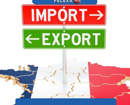 واردات از فرانسه