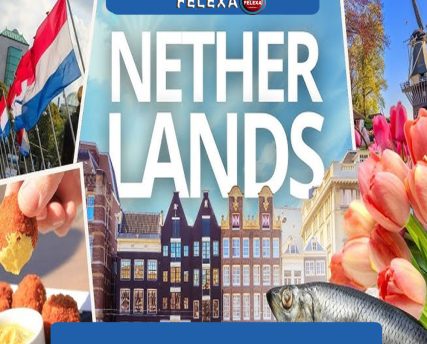 واردات از هلند