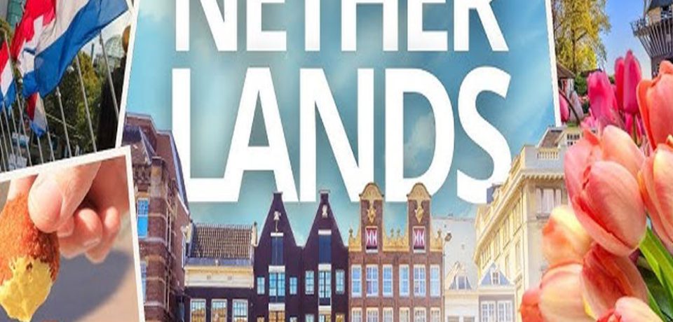 واردات از هلند