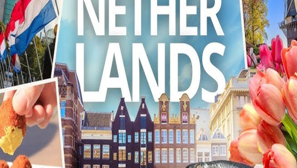 واردات از هلند