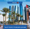 واردات از امارات