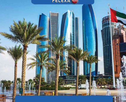 واردات از امارات